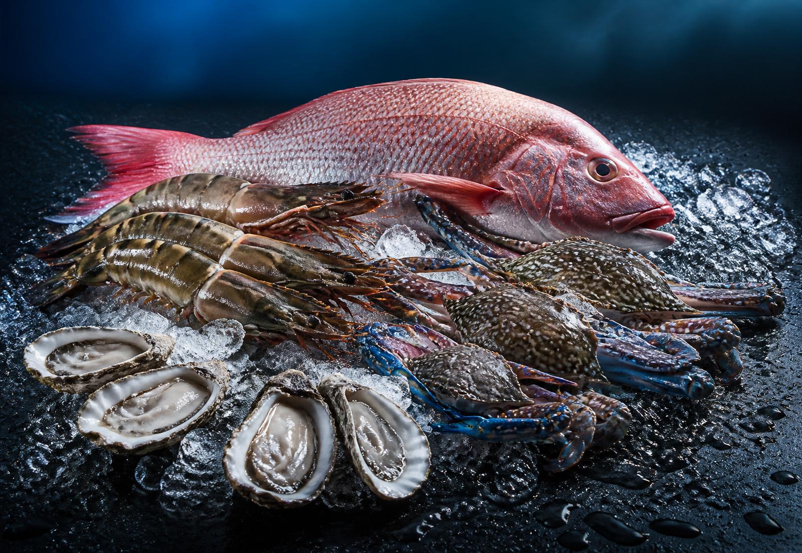 Fresh premium seafood on ice